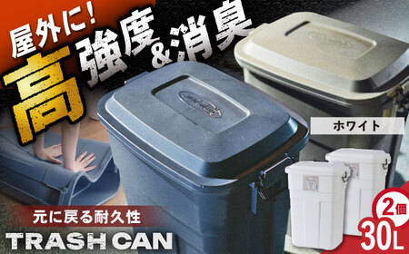 ゴミ箱 ふた付き 30L 2個組  ホワイト /  恵那市 / 東谷 [AUAD069]