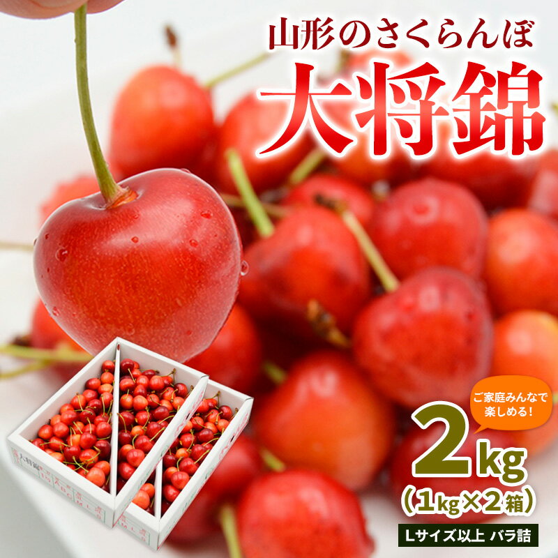 【ふるさと納税】【ご家庭みんなで楽しめる！2kg】山形のさくらんぼ 大将錦 2kg Lサイズ以上 バラ詰(1kg×2箱) 【令和8年産先行予約】FS25-008