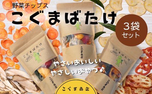 国産野菜チップス こぐまばたけ40g×3袋 ギフトボックス 国産素材100％ ヘルシー おやつ 子ども 野菜 詰め合わせ スナック こぐま商店 クマオカキ おかき お菓子 せんべい 煎餅 大阪 河内長野 あられ おつまみ オカキ プレゼント お土産 手土産