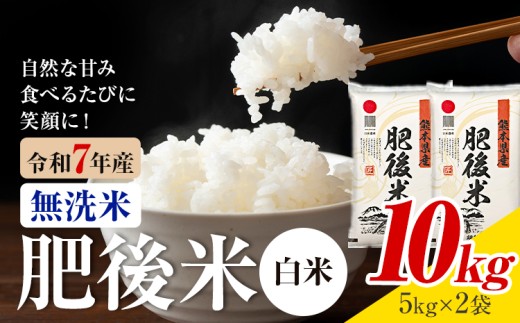 熊本県産 肥後米 無洗米 白米 10kg 1袋5kg 米 お米 令和7年産 九州産 熊本県産 送料無料【30日以内に出荷予定（土日祝除く）】 無洗米 白米 米