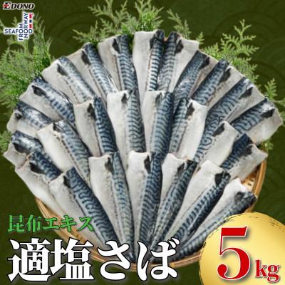 ふるさと納税 銚子市 適塩さば 昆布エキス入り 約5kg