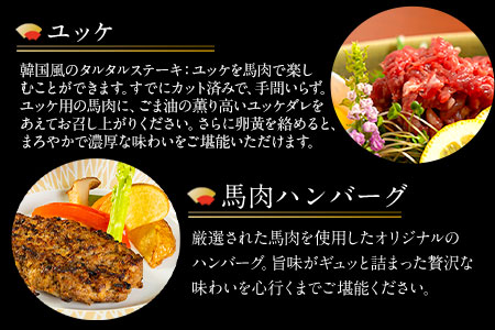 贅沢バラエティセット 540g 千興ファーム 馬肉 冷凍 《60日以内に出荷予定(土日祝除く)》 新鮮 さばきたて 生食用 肉 熊本県御船町 馬刺し 馬肉 惣菜 希少部位