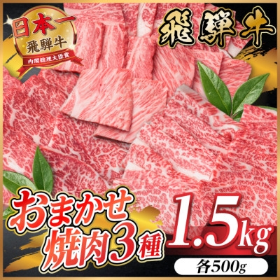 
                  飛騨牛　おまかせ焼肉3種セット1.5kg(各約500g)訳あり　BBQ　上カルビ・ロースなど【1739042】
                