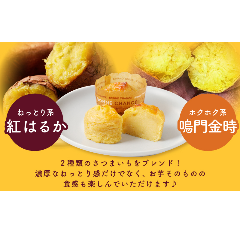 芋匠さのや 大人気セット（濃厚スイートポテト 12個／芋けんぴ） 099H2654_イメージ3