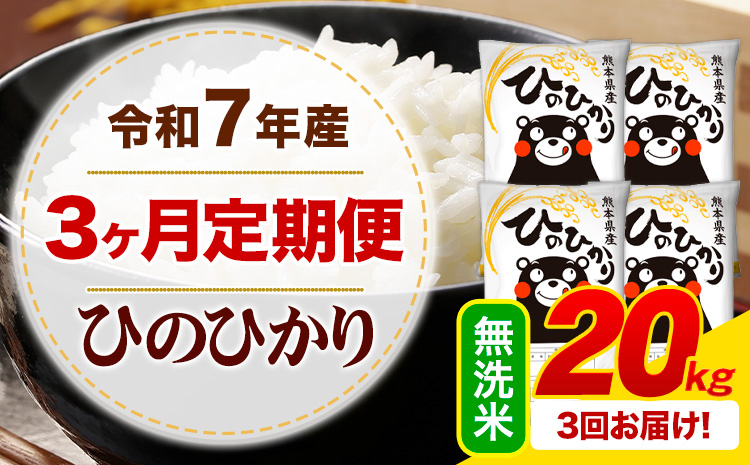【3ヶ月定期便】 令和7年産 無洗米 ひのひかり 定期便 20kg《お申込み翌月から出荷》熊本県産 ふるさと納税 精米 ひの 米 こめ ふるさとのうぜい ヒノヒカリ コメ お米---mifune_lcl_997_mo3---