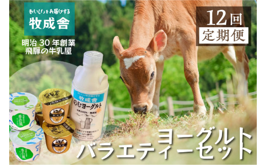 《定期便》こだわりヨーグルトセット 12回お届け 牧成舎 のむヨーグルト 生クリームヨーグルト 季の風 12個セット