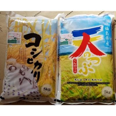 令和5年産南相馬市産ふくしま未来農業協同組合コシヒカリ5kg+天のつぶ5kg食比セット【01031】