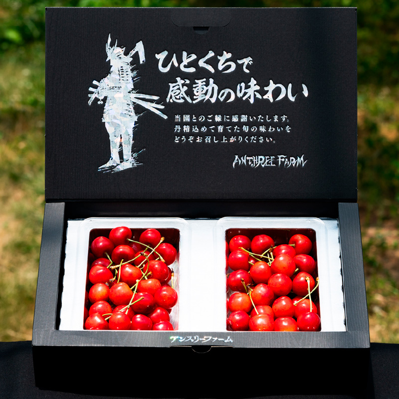 さくらんぼ 「紅秀峰」500g 特秀品 2Lサイズ以上 山形産 FY25-0