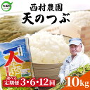 【ふるさと納税】 米 定期便 天のつぶ 10kg 選べる回数 3ヶ月 / 6ヶ月 12ヶ月 《 令和6年産 》 福島県 大玉村 西村農園 ｜ 新米 定期 3回 6回 12回 精米 白米 ヒトメボレ コメ 送料無料 ｜nm-tt10-t-R6