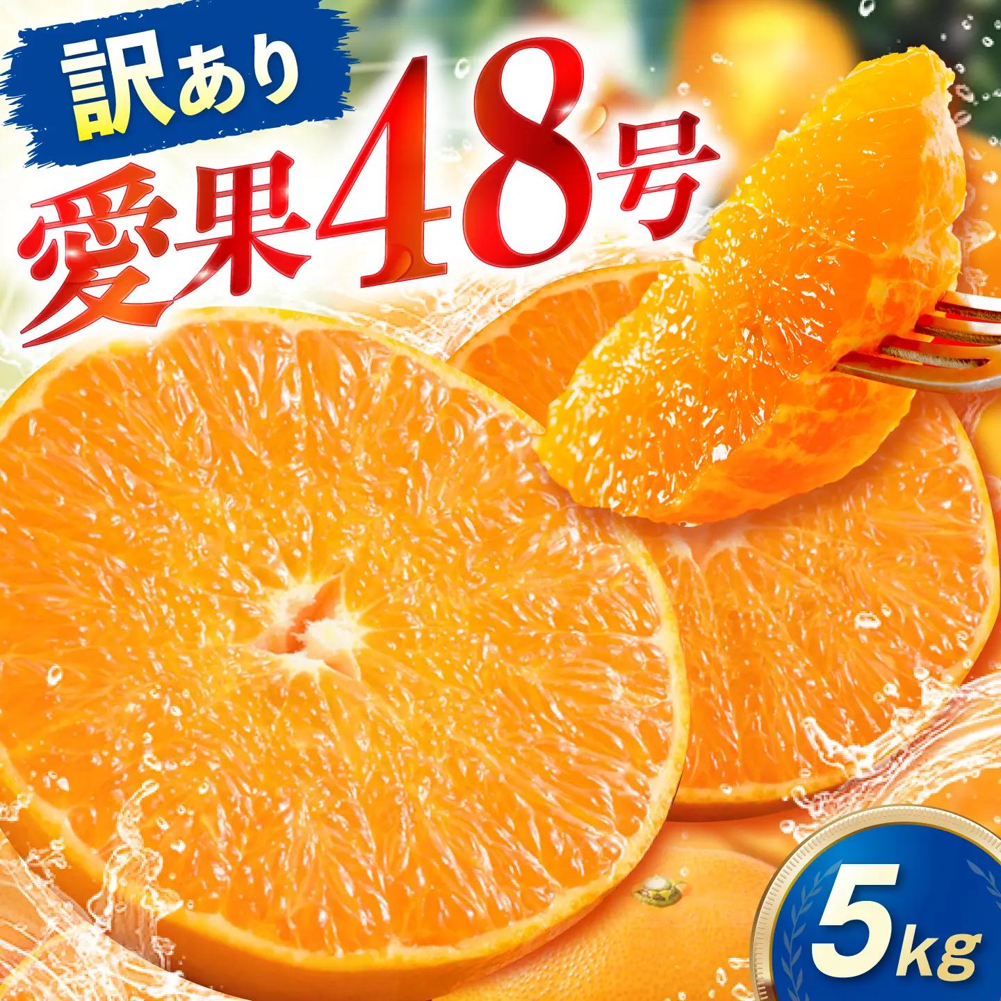 みかん 訳あり 愛果48号 約5kg サイズ不揃い みかん BJAZ013 