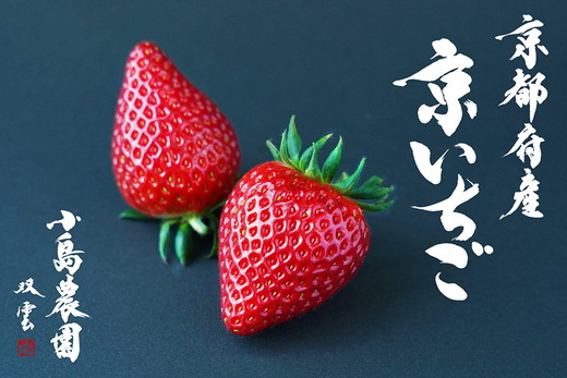 
            高級 京いちご 完熟 朝採れ 1箱 約450g 小島農園 紅ほっぺ おいCベリー スターナイトから厳選してお届け≪期間限定 苺 イチゴ 旬≫※離島への配送不可 ※2025年1月中旬～4月下旬頃に順次発送予定
          