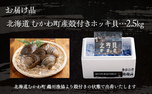 鵡川漁協発!特選ホッキ貝(2.5kg) MKWV001