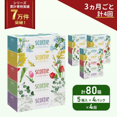 ふるさと納税 岩沼市 定期便 ティッシュ スコッティ80箱 (5箱×4P)《計4 回》[No.5704-1136]