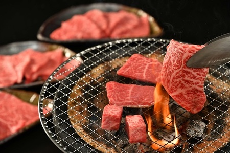 松阪牛焼肉用（肩・モモ・バラ）300ｇ【1.2-12】