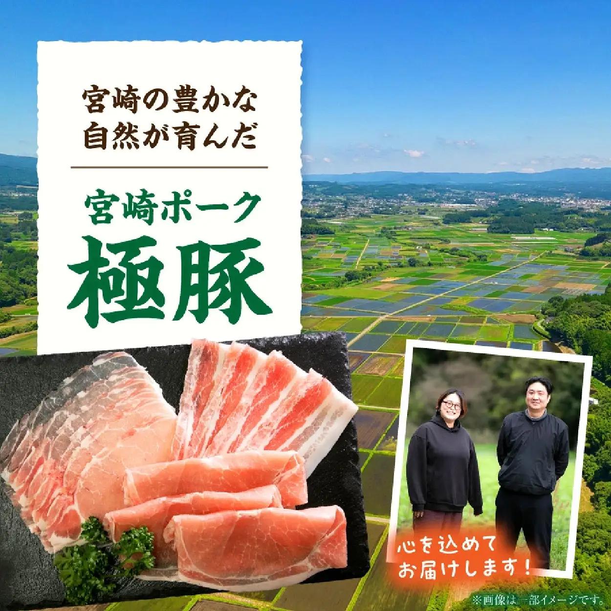 豚肉 【定期便】ひなた宮崎極豚上しゃぶしゃぶ食べ比べ 6回コース 豚 