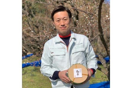 贈答 紀州南高梅 白干梅木樽入り 1kg