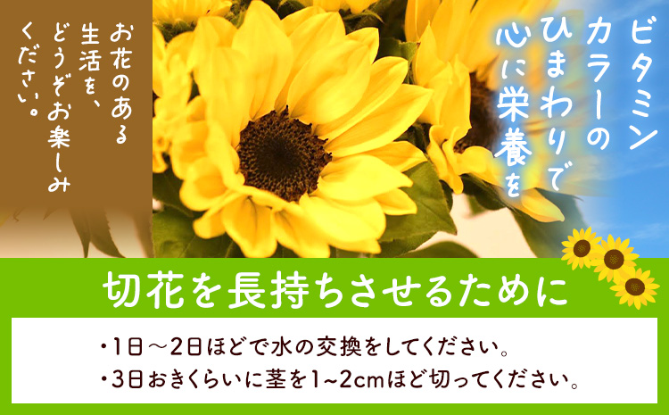 ひまわり 切花 30本 黄色 オレンジ 四季農場《6月上旬-10月中旬頃出荷》北海道 当別町 花 お花 はな ひまわり 夏 切り花 冷蔵便 北海道産 当別町産 インテリア