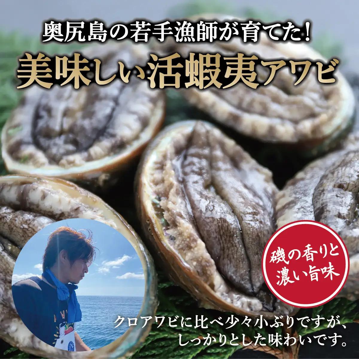 奥尻島産 活蝦夷アワビ（養殖）5個入り 70mm以上