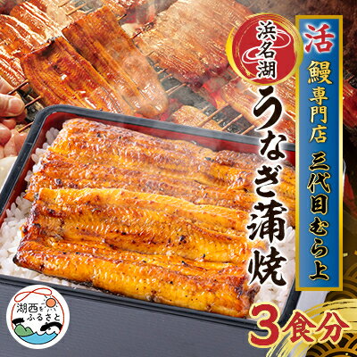 【ふるさと納税】三代目むら上の職人手焼　浜名湖産鰻蒲焼120g(3枚/5枚)　たれ・山椒付き【配送不可地域：離島】【G1403763】