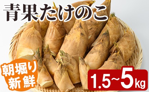 
                  ＜先行予約受付中！2027年2月下旬以降順次発送予定＞ ＜内容量が選べる！＞朝堀り青果たけのこ(約1.5～5kg) 国産 新鮮 タケノコ 青果 竹の子 筍 野菜 春 旬 期間限定【上野食品】
                