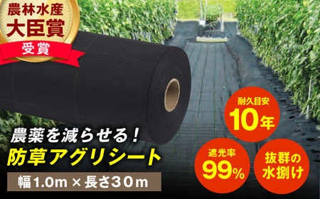 防草アグリシート（BB2218・耐久目安10年・幅1.0m×長さ30m）/ 防草シート 除草[AFCA013]