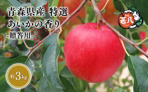 ≪選べる配送月≫１１月発送　特選　甚八りんごあいかの香り３kg　【青森県 平川市 マルジンサンアップル】１１月発送 青森 青森県産 平川 りんご リンゴ 林檎 くだもの 果物 フルーツ 