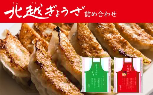 北越ぎょうざ詰め合わせ（中） ／ 餃子 ギョウザ ギョーザ 北越ぎょうざ お野菜多めぎょうざ 越谷ねぎぎょうざ 中華惣菜 セット 旨み 肉汁 埼玉県 No.007