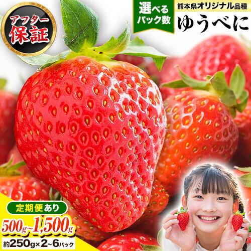 【ふるさと納税】先行予約 いちご 苺 ゆうべに 約500g 〜 約1.5kg（約250g×2〜6パック） 定期便 熊本 いちご 苺 イチゴ 熊本県 氷川町 ゆうべに いちご《2026年3月出荷予定》熊本県 氷川町 果物 フルーツ 先行 予約 アフター保証 ふるさと納税 いちご おすすめ