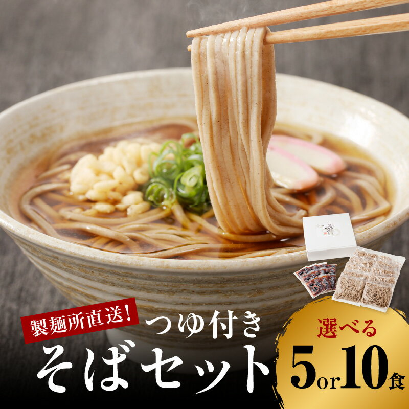 【ふるさと納税】【数量選べる】製麺所直送！そばセット（つゆ付き）5食 or 10食 ＼レビューキャンペーン実施中／
