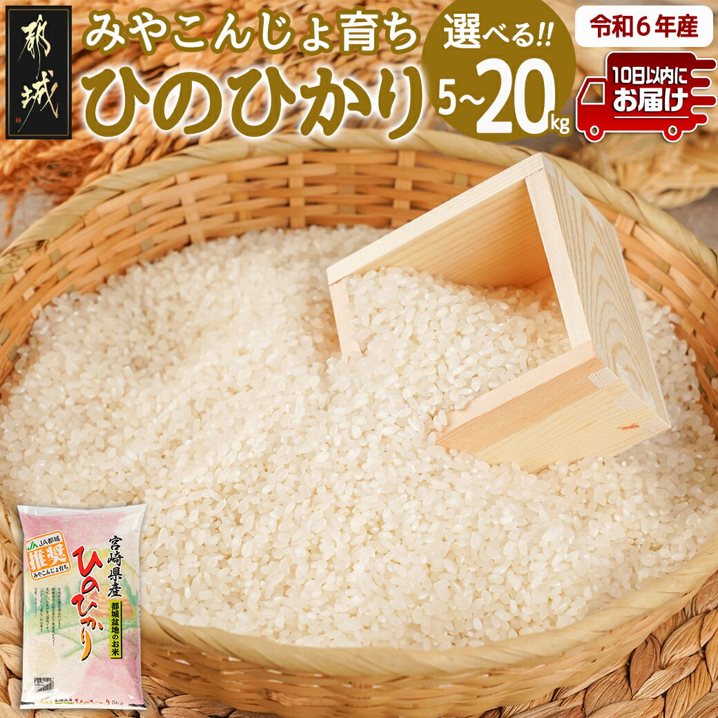【ふるさと納税】【内容量が選べる！】みやこんじょ育ち都城産ひのひかり≪みやこんじょ特急便≫ - ヒノヒカリ 内容量が選べる 5kg/10kg/20kg 米 旨味 粘り 白米 ごはん 送料無料 SKU-K701【宮崎県都城市は2年連続ふるさと納税日本一！】