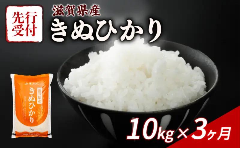 【令和8年産】 先行予約 新米 きぬひかり 10kg ( 5kg ×2) 3回定期便 令和8年産 定期便 米 キヌヒカリ