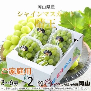 【2025年8月発送】ご家庭用　岡山県産　シャインマスカット　晴王　2kg(3～6房)【配送不可地域：離島】【1409730】