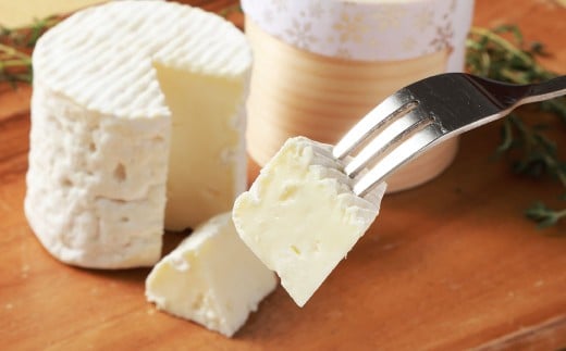 ベルネージュ 70g×6個セット チーズ 白カビチーズ 生クリーム入り 白カビ 生乳 濃厚 おつまみ お酒のお供 おやつ 料理 乳製品 加工食品 [027-0111]