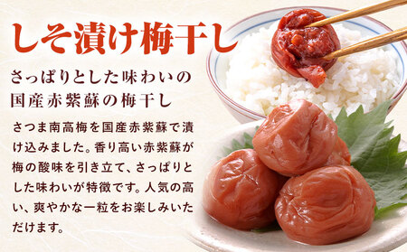 訳あり しそ漬け梅干し 350g×2箱 定期便 連続 3回  農事組合法人 梅香丘《お申込みの翌月から出荷》鹿児島県 さつま町 うめぼし 紫蘇 お取り寄せ プレゼント