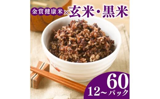ご飯パック 金賞 健康米 玄米・黒米  120g×24個入り 国産 レンチン もち麦 軽食 夜食 簡単 白米 麦 食物繊維 ビタミン 御飯 ごはん パック ご飯 パックライス 