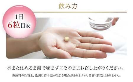 75908_DHC コラーゲン 30日分 4個セット（120日分） MBB023