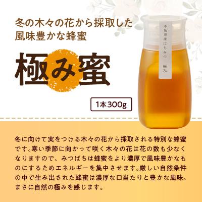 ふるさと納税 小牧市 桃畑で作った完熟非加熱はちみつ2種(300g×2個)新蜜&極み[055A16] |  | 02
