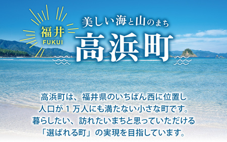 【返礼品なし】美しい海と山のまち　高浜町へのふるさと納税 応援寄附金 