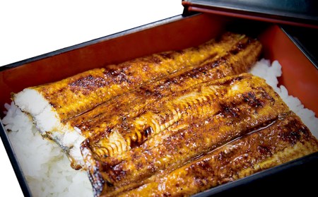 うなぎ 鹿児島県産　うなぎ蒲焼　約70g×3枚【タレ・山椒付】 