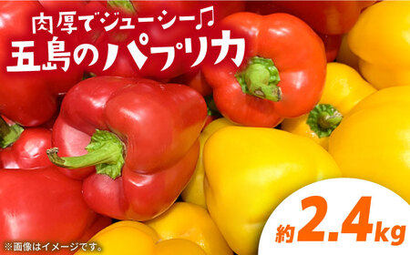 【肉厚ジューシー】五島のパプリカ 約2.4kg 五島市/HPIファーム  [PCP009]  野菜 やさい 国産 新鮮 緑黄色野菜 産地直送 とれたて