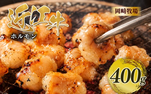近江牛 ホルモン 400g 完熟近江牛 近江日野牛 ふるさと納税 焼肉 やきにく ホルモン ほるもん 小腸 コプチャン プリプリ 焼き肉 BBQ キャンプ 一人焼肉 焼肉 焼き肉 牛肉 最上級 ブランド 和牛 近江牛 国産牛 肉 にく近江 牛 松阪牛 神戸牛 に並ぶ 日本三大和牛 長期肥育 生体熟成 熟成 近江牛 プレゼント お取り寄せ 滋賀県 日野町岡﨑 岡崎 精肉店 牧場