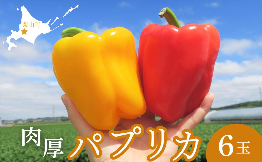 
北海道栗山町産 土で育てた匠のパプリカ 6玉　C046
