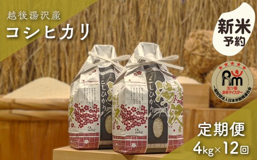 令和8年産【白米4kg/12回定期便】「五つ星お米マイスター」の精米 4kg(2kg×2)×12【湯沢産コシヒカリ】
