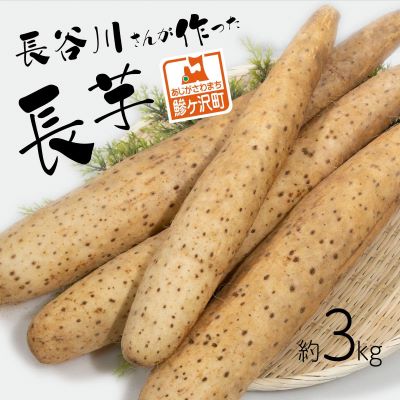 【ふるさと納税】長谷川さんが作った長芋（約3kg） 野菜 根菜 やさい とろろ 芋 いも 青森県 鰺ヶ沢町　お届け：毎年12月上旬～翌年5月下旬の配送です。