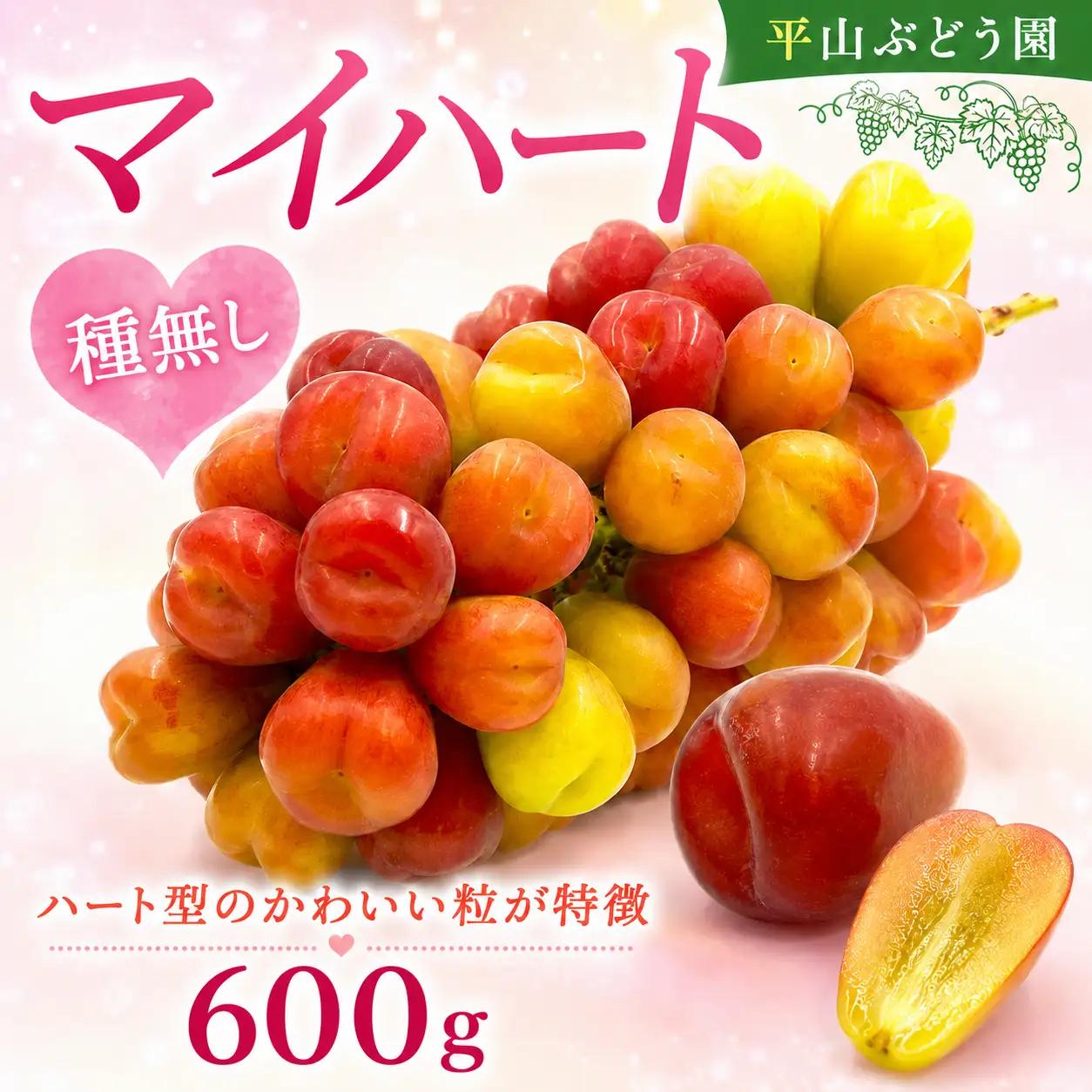 【2026年発送】ぶどう マイハート 600g (1房)