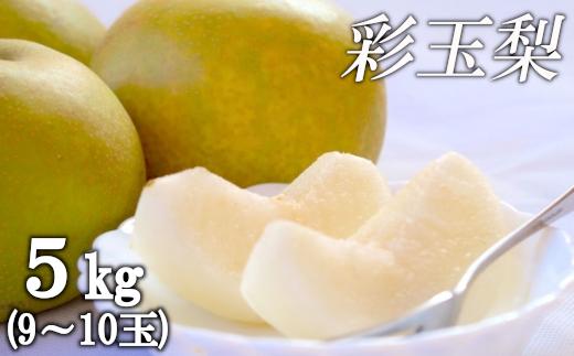 
                  梨　白岡の梨「白岡美人」　彩玉　約5kg（9玉～10玉） | なし ナシ さいぎょく 埼玉県 白岡市
                