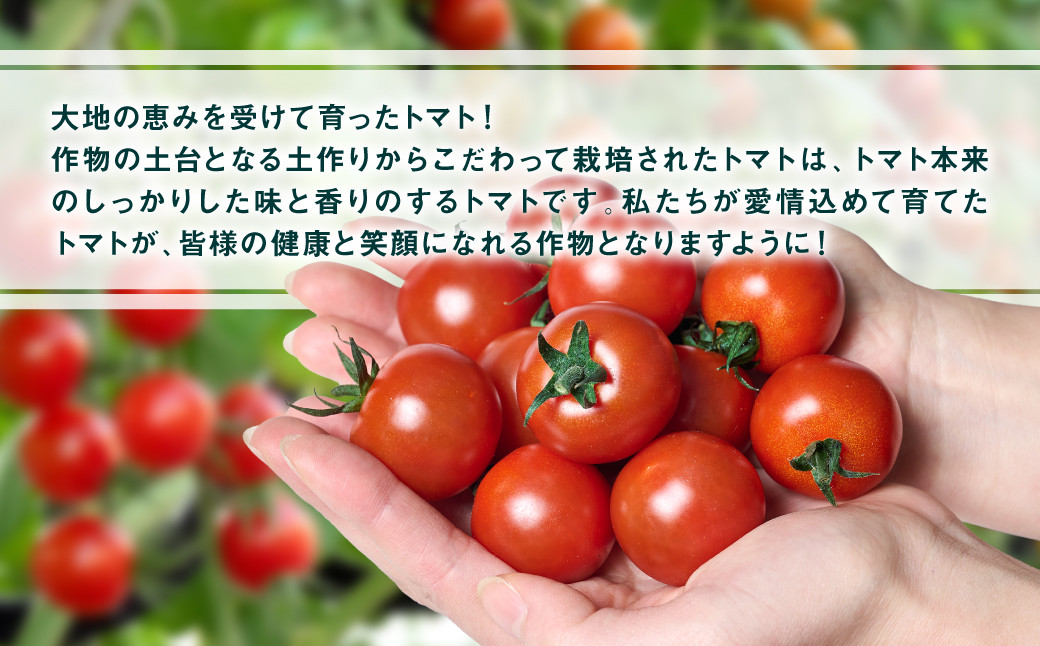 愛情込めて育てたトマトが、皆様の健康と笑顔になれる作物となりますように！