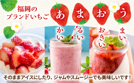 【全3回定期便】【訳あり】博多和牛 切り落とし ＆ あまおう セット1.3kg   桂川町/株式会社 MEAT PLUS[ADAQ069]