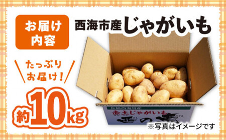 じゃがいも 10kg＜ファームまるだ＞CDT002 じゃがいも じゃがいも じゃがいも じゃがいも じゃがいも じゃがいも