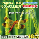 【ふるさと納税】【令和5年産】【6ヶ月定期便】こしひかり 3kg × 6回 計 18kg【白米】減農薬・減化学肥料「特別栽培米」－地球にやさしいお米－【定期便・お米・コシヒカリ・定期便】[B-003002]